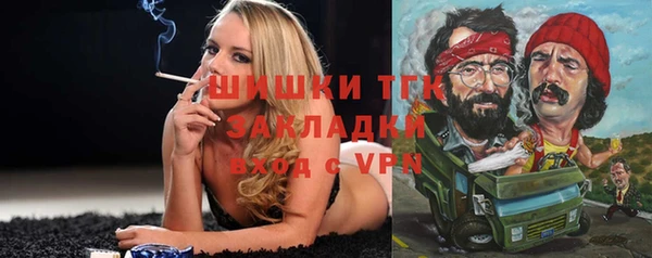 соль ск Инсар