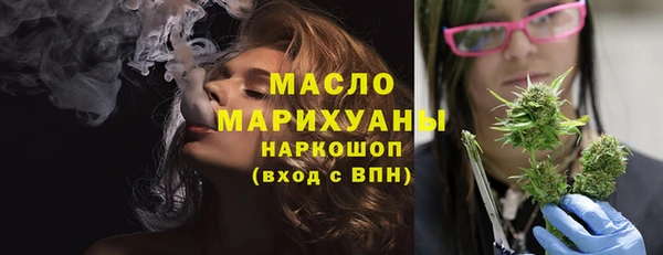 соль ск Инсар