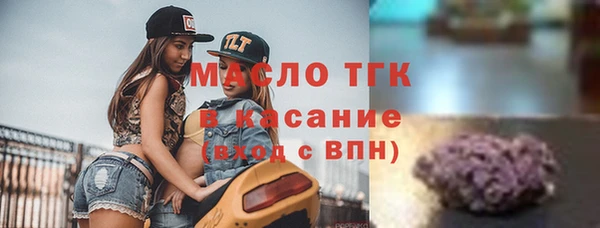 соль ск Инсар