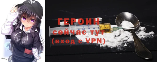 соль ск Инсар