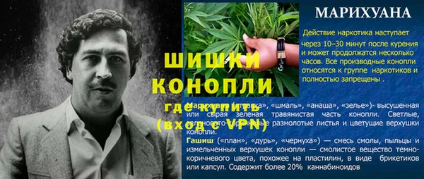 соль ск Инсар