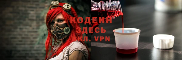 соль ск Инсар
