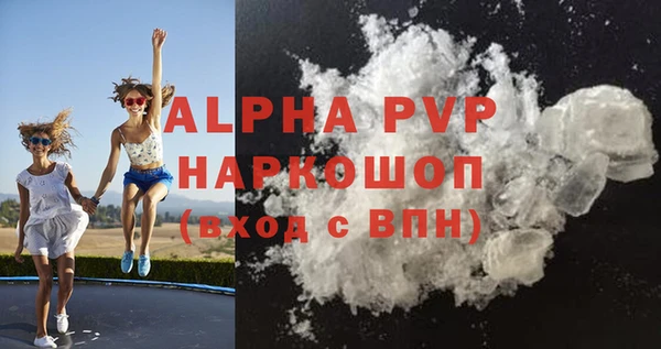 соль ск Инсар