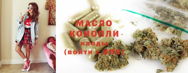 соль ск Инсар