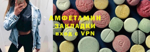 соль ск Инсар