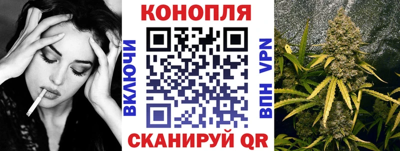 Шишки марихуана план  Купить  Болгар 